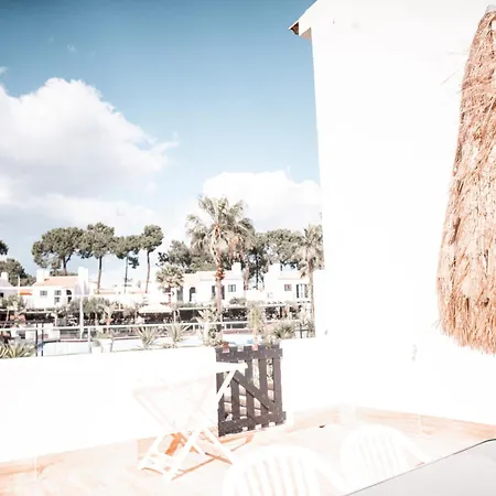 Honorio - Pool&garden